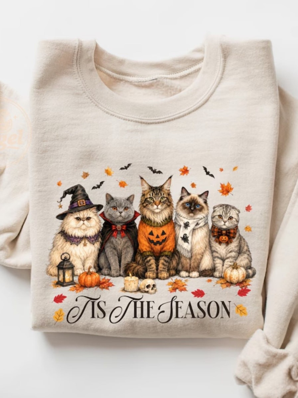 'Tis The Season Sand Cat Halloween Sweatshirt - Festive Cat Graphic